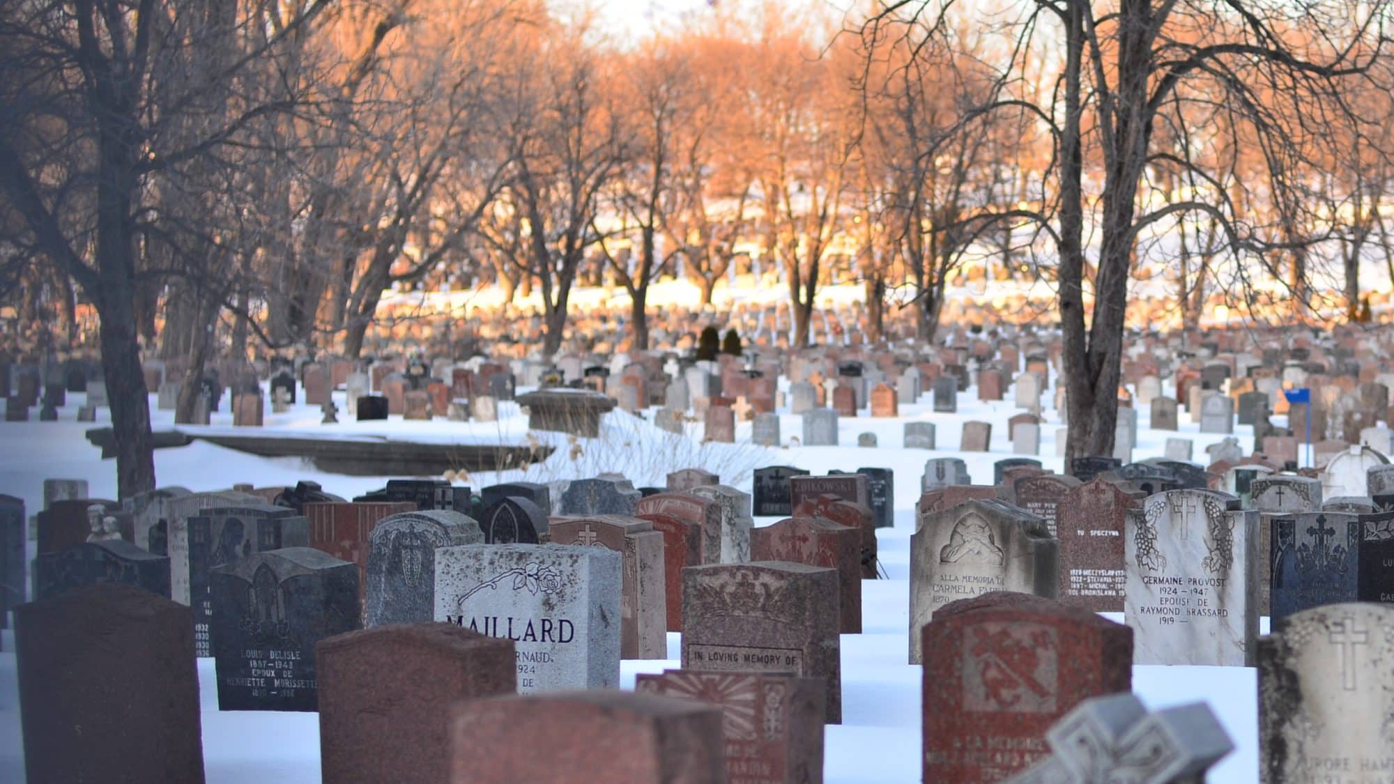 Photo of a graveyard from Unsplash