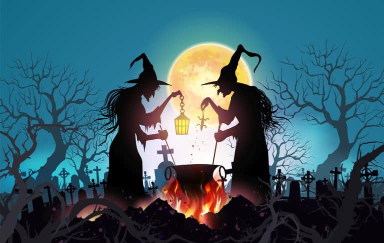 Happy Halloween background with Old witch with magical potion and the dead trees under the moonlight.- Vector illustration