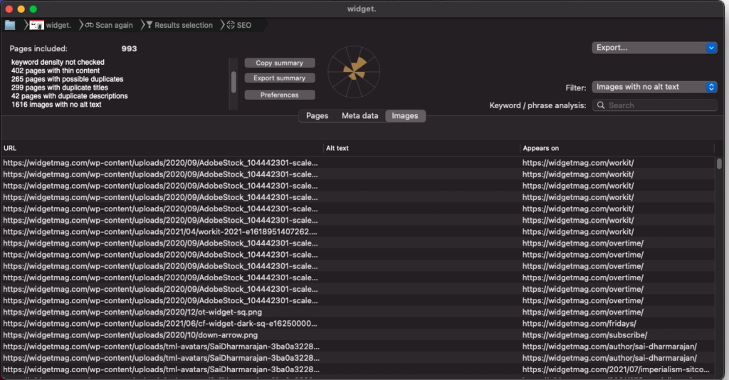 Screenshot from Scrutiny SEO scanner
