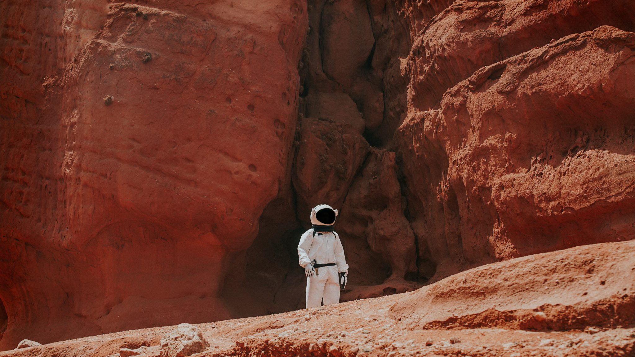 An astronaut on the surface of a red planet (or maybe it's just the red part of an otherwise verdant planet, how the hell should I know?)