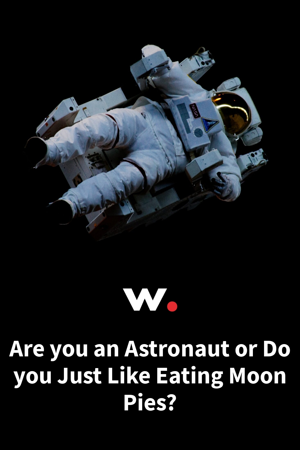 Are you an Astronaut or Do you Just Like Eating Moon Pies? by Catherine
