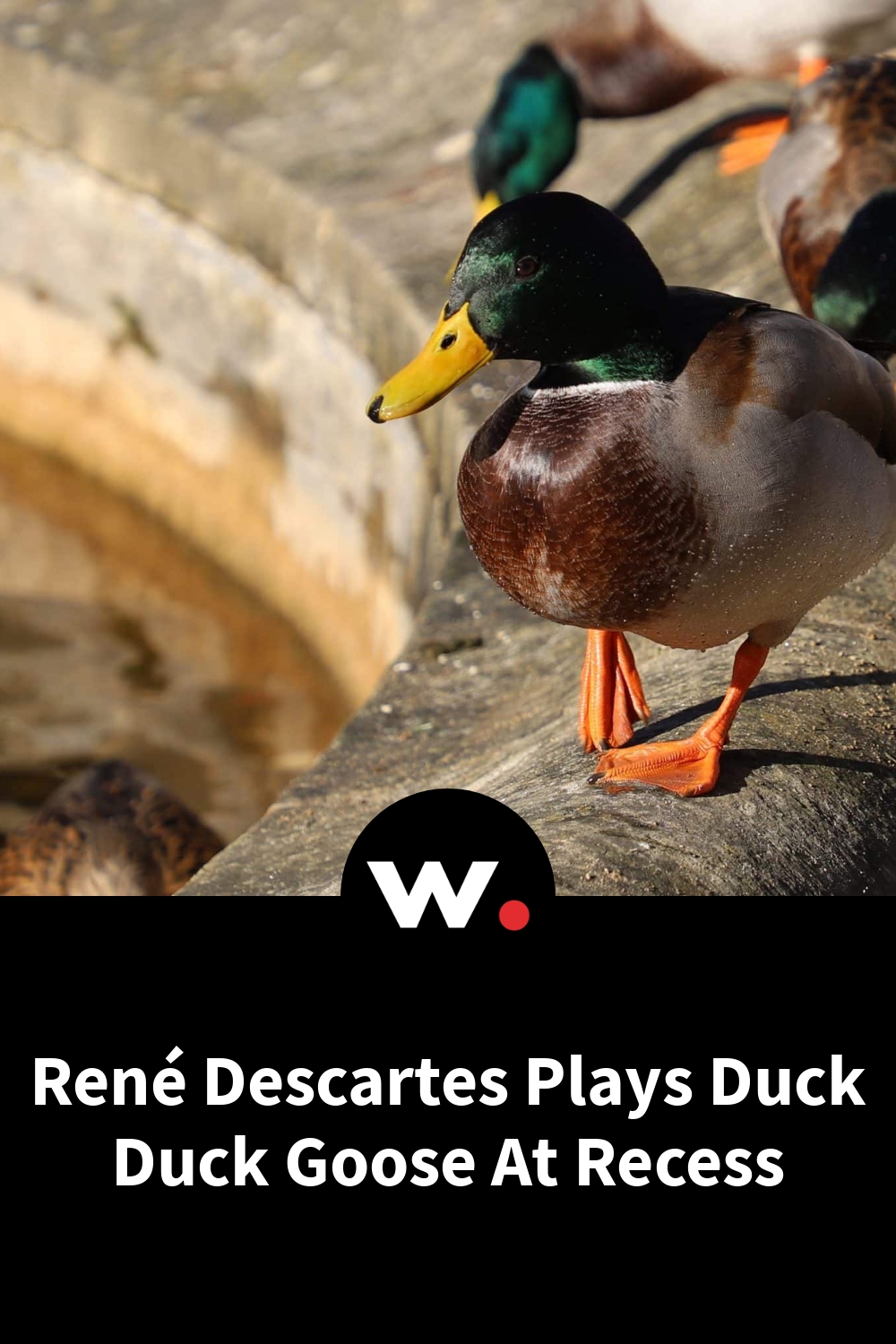 René Descartes Plays Duck Duck Goose At Recess