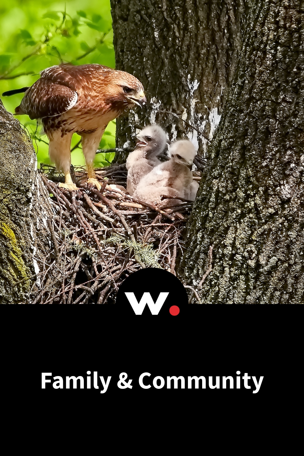 Family & Community