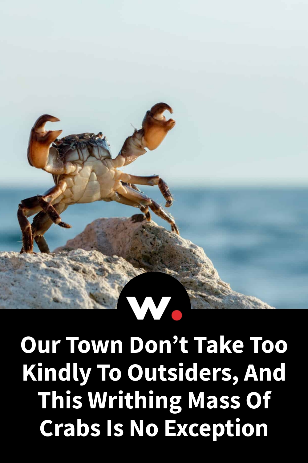 Our Town Don’t Take Too Kindly To Outsiders, And This Writhing Mass Of Crabs Is No Exception