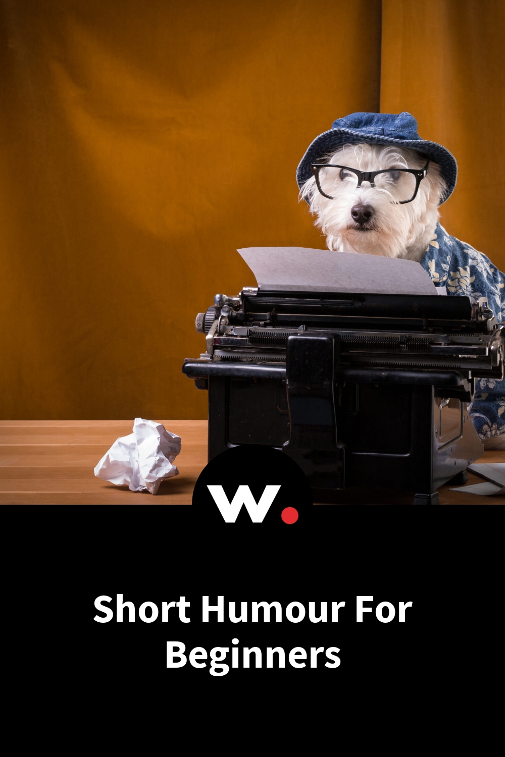 Short Humour For Beginners