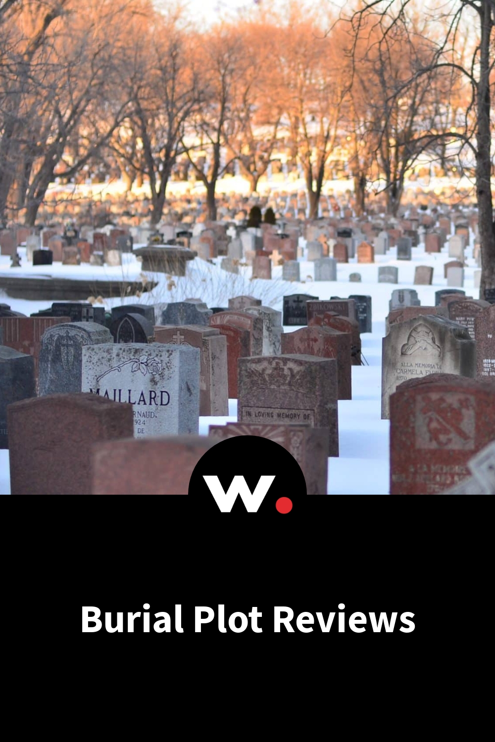 Burial Plot Reviews