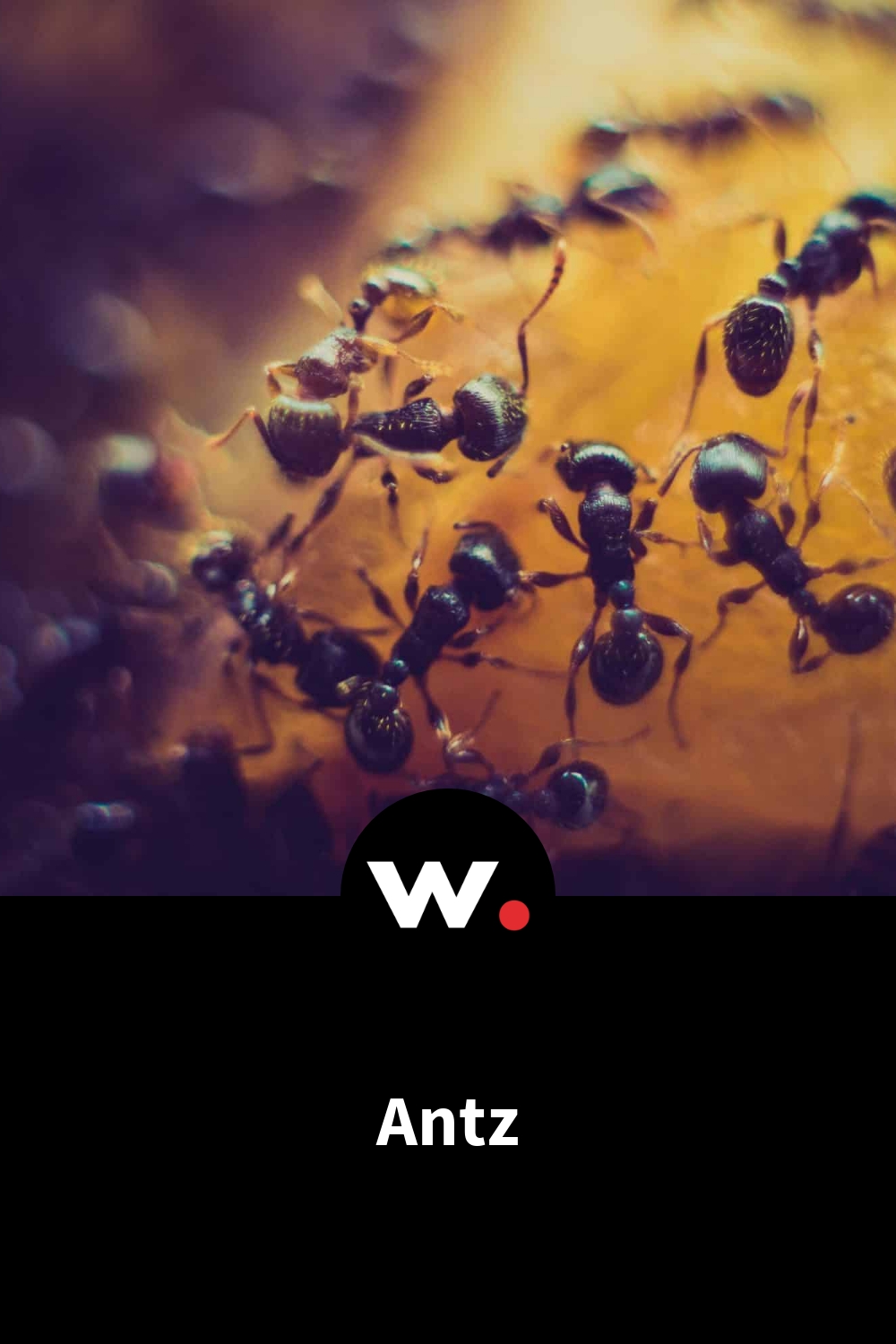 Antz