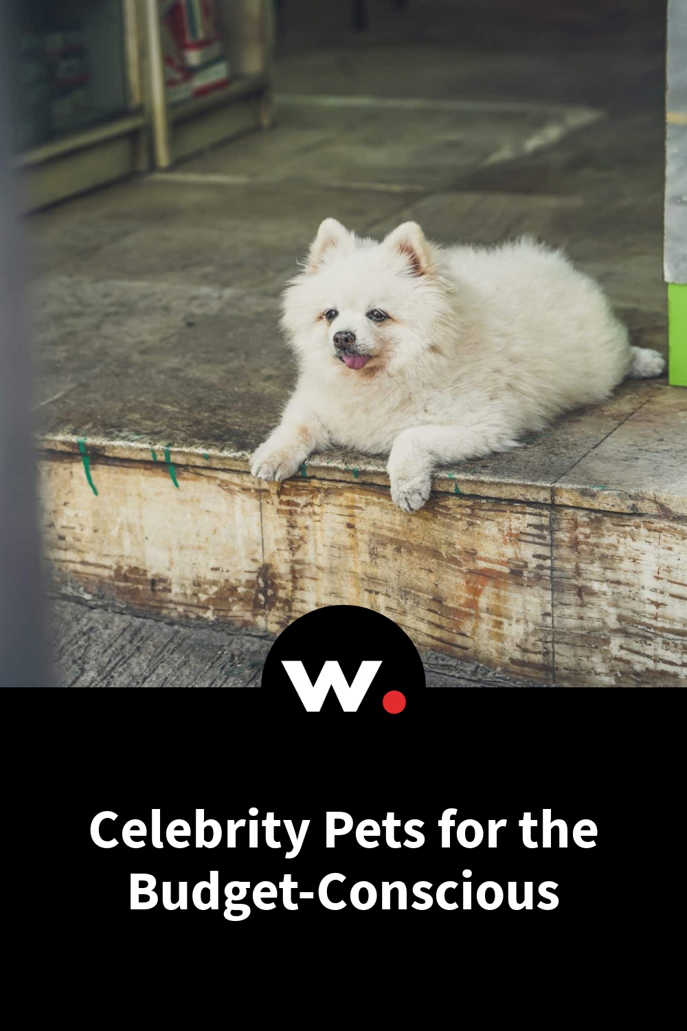 Celebrity Pets for the Budget-Conscious
