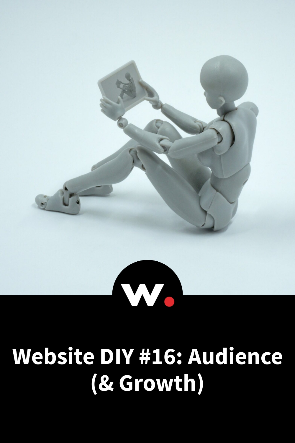 Website DIY #16: Audience (& Growth)