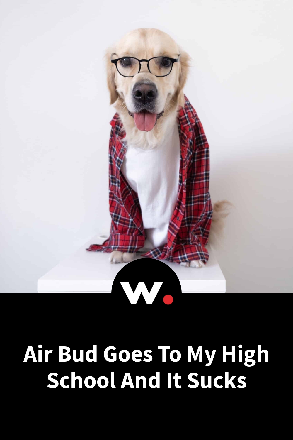 Air Bud Goes To My High School And It Sucks